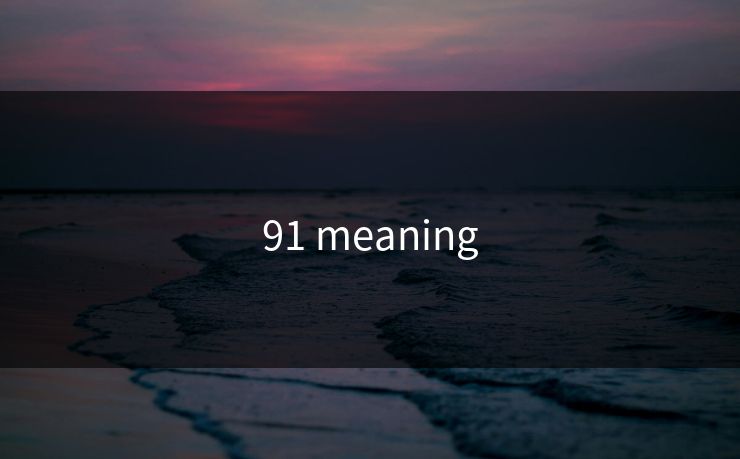 91 meaning 91 meaning