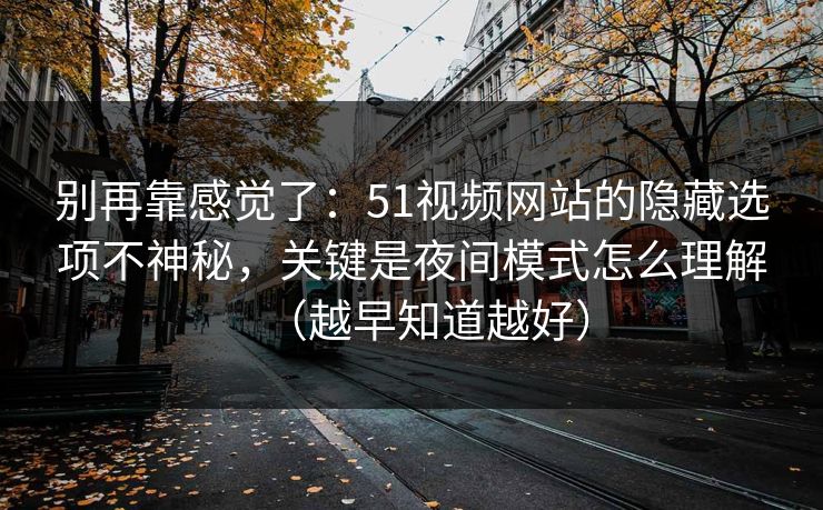 别再靠感觉了：51视频网站的隐藏选项不神秘，关键是夜间模式怎么理解（越早知道越好）